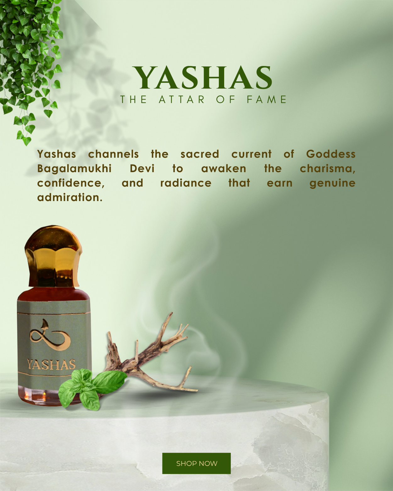 MOBILE banner.zip - 3